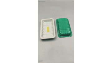 PET Food Tray-040801