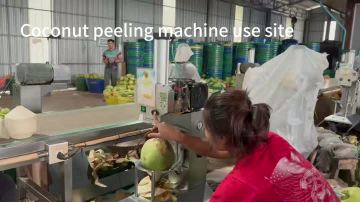 Coconut peeling machine use site