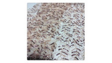 dress 3d  beaded pearl indian bridal embroidered lace fabric for dress sequin fabric1