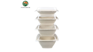 Biodegradable Square Plates