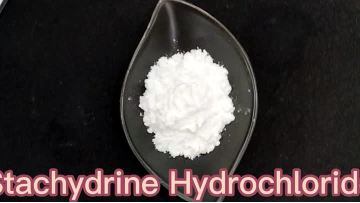 Stachydrine Hydrochloride