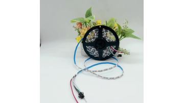 SMD2835 LED Strip Light Pixel