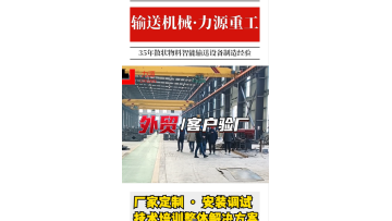 the video of foreign customer visiting factory 