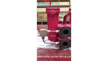 Duplex Inline Filter RFLD WHC 241 EAK 50 D 1.0-L24