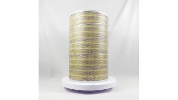 Air Filter SK-3046AY P771558 1109N12-020 AF25276