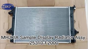 Radiator Assy 25310-F2000