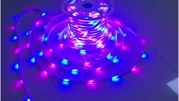AC220V LED Strip Light 2835 Colorful Waterproof 14.4W/M Plum Blossom Horse Running Strip Outdoor Landscape Holiday Party Ads1