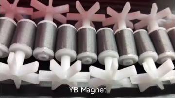 Ferrite magnet molded&assembly