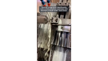 Video 40