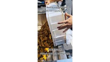 Ginger Washing and Peeling Machine