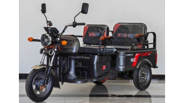 Flat Panel Electric Tricycle