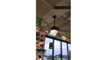Ceiling Fan