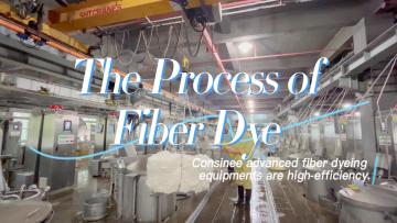 The process of fiber dye