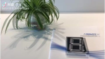 Indoor or outdoor high quality Large 12 Inch  7 Segment LED Display Big Led Display module1