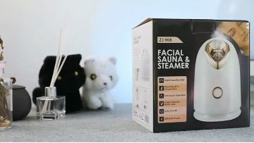 Facial SteamerZJ-908