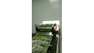 Green beans washing process