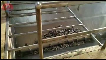 Single axis screw conveyor 10001