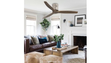 For Summer Modern Ceiling Fan