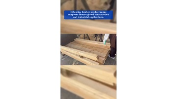 Video 13