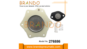 276886 Diaphragm