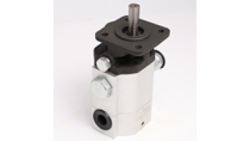 Log Splitter Pump1