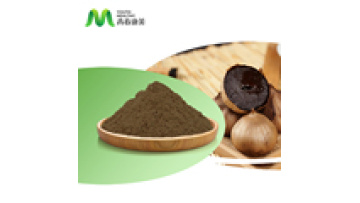 Halal Approved Wholesale Black Garlic Extract1