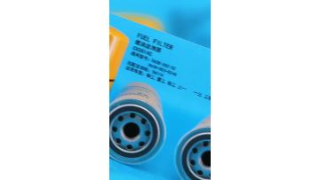 fuel filter bad symptoms