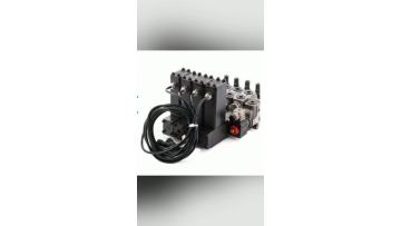 HS2 4bank Proportional Remote Control Valve