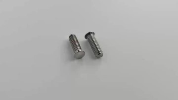 Stainless Steel Self Clinching Screw FHS 6 32 10
