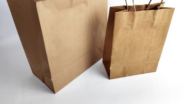 New Design Leaf Paper Bag With Flat Handled Brown Bags1