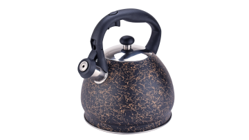 FH-517 high quality black stainless steel kettle