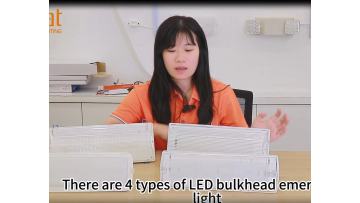 Collection of Bulkhead Lights