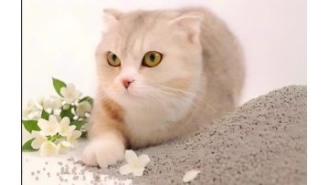 Jasmine Scented Deodorizing Colored Ball Bentonite Cat Litter