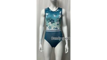 competitive gymnastics leotards