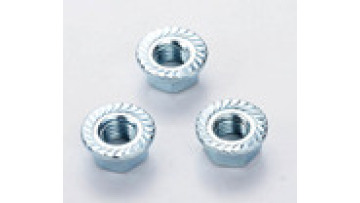 High-Quality Galvanized Stainless Steel Serrated Hexagon Flange Nut M22 Manufacturer - DIN 69231