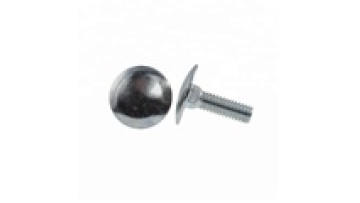 Big Head Carriage Bolt Round Head Square Neck Bolt1