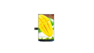 4 Inch 480x800 IPS LCD Display with 2-Lane MIPI or LVDS Interface1