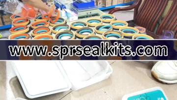 Oil cylinder tightening oil seal (83)