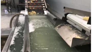 French Fries full automatic Production Line