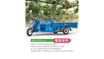Environmentally friendly orchard three-wheeled ele