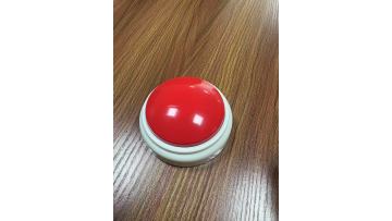 AI interactive toy   