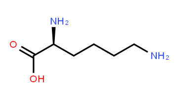L-lysine powder