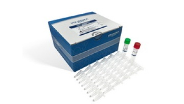 Carbapenem Resistance Gene