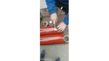 The paint test