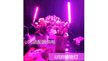 10W 21Led DC 5V USB Full Spectrum Grow Light USB Portable Flexible Plant Growth Light For Greenhouse Flower Plant Succulent1