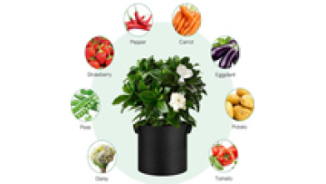 Factory stock 1-400 gallon All Size Non woven Plant Fabric Pots Grow Bags with Handles planting bags1