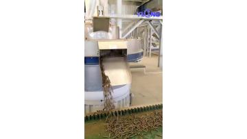 Annual production of 200,000 tons of biomass pelle