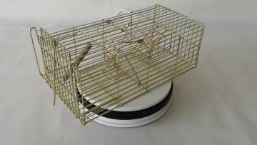 Factory Supply Humane Multi Catch Live Rat Mouse Trap Cage Trap1