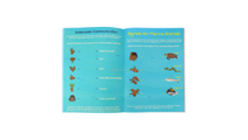 China Printing Company Preschool Activities Word Baby Sticker Book Workout Log Books Printing1