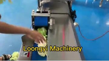 slicing machine